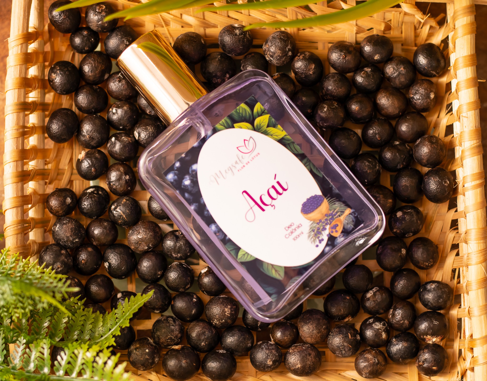 A image that shows a mountain range