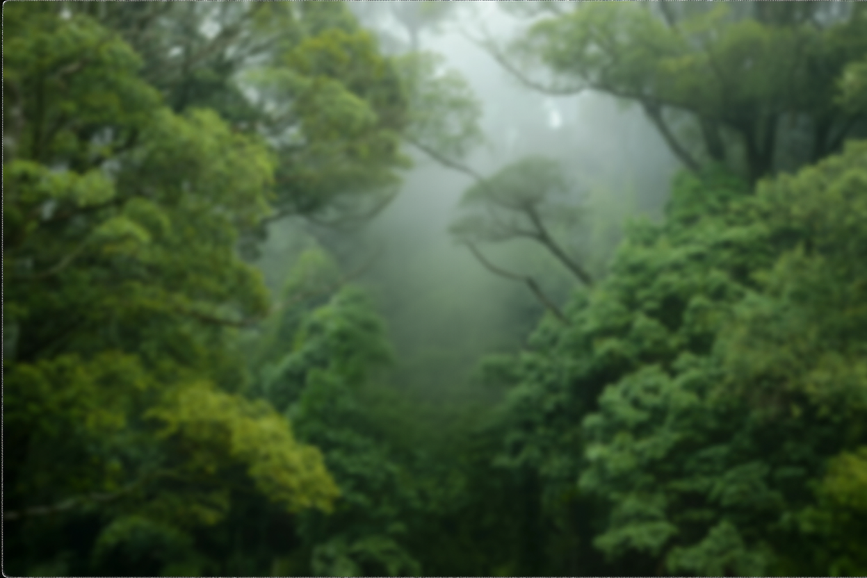 A image that shows a mountain range